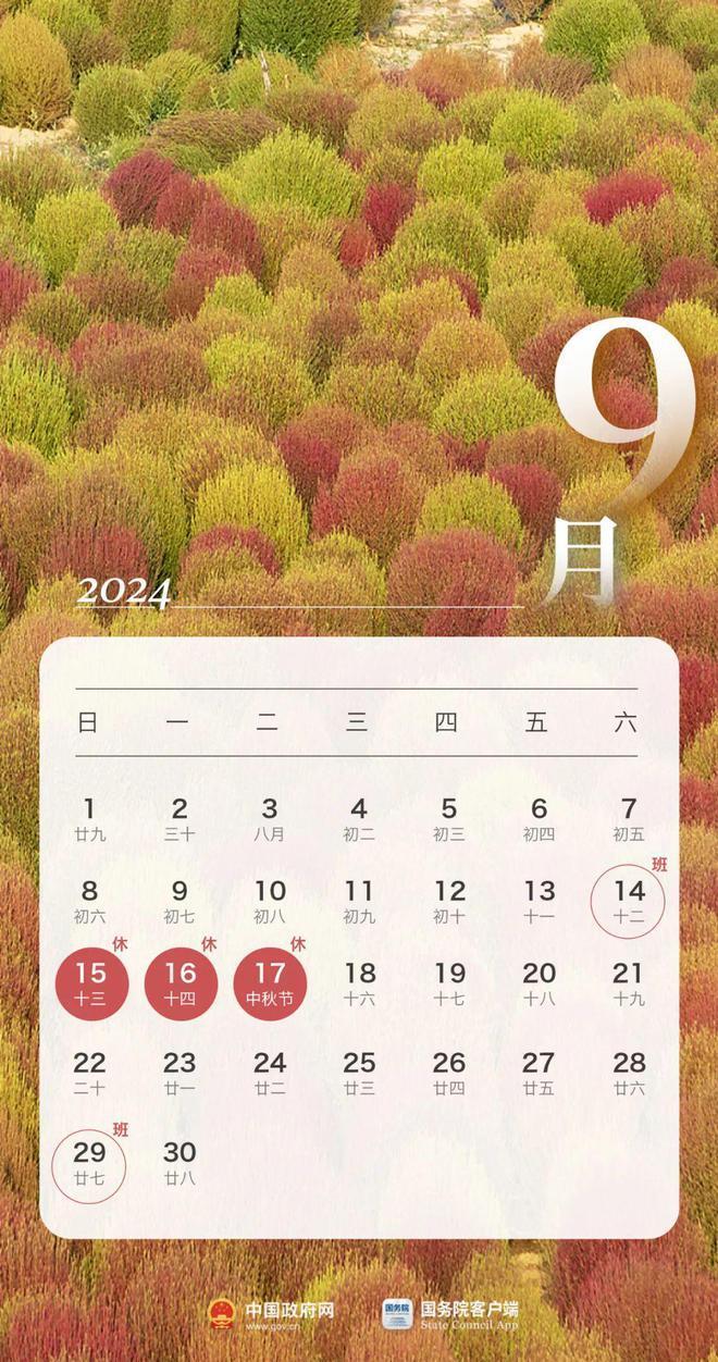2024年12月疫情又開始了嗎,實際確鑿數據解析統計_稀缺版85.294