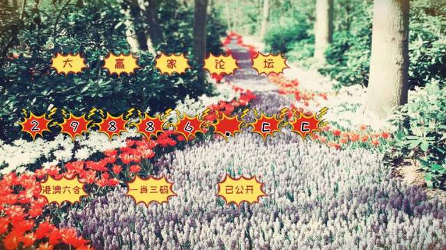 最準一肖一碼100%噢,可靠執行操作方式_見證版57.777