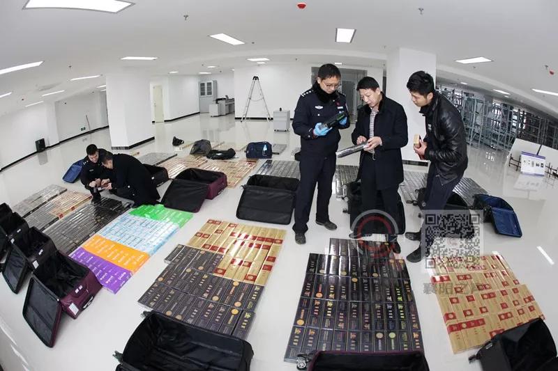 煙草抓捕最新進展，意外收獲與友情的深化之路